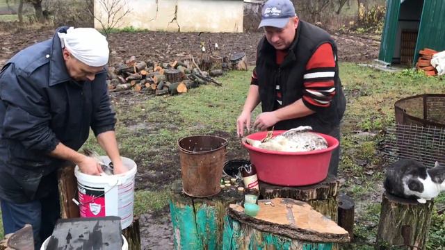 Важное обращение! Жизнь в селе / гуси смотреть онлайн