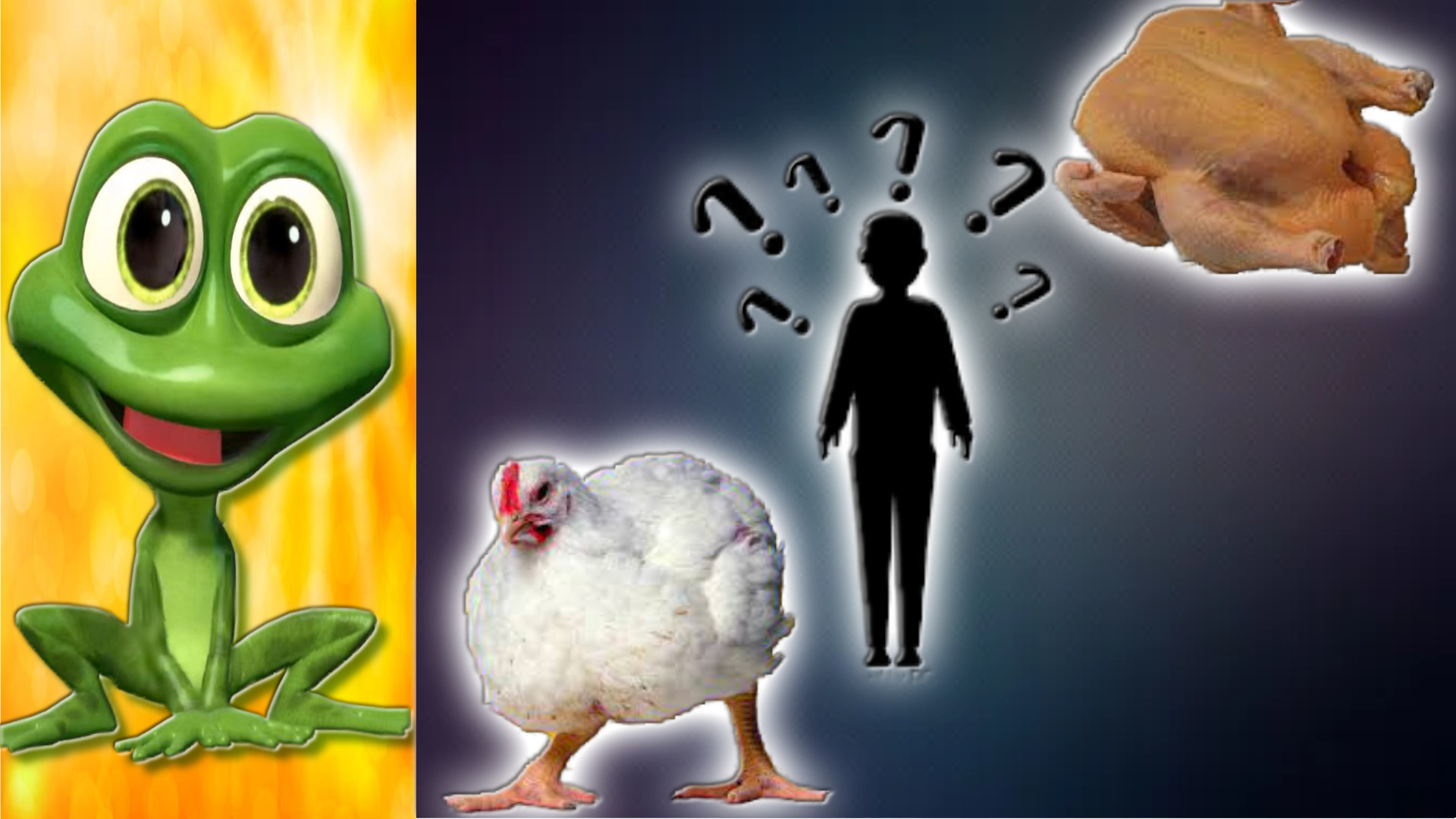 Бройлер Кобб-500. Живой вес и вес тушки. Существенна ли разница?