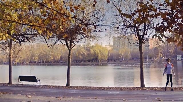 Orange România - Rețeaua #1 De Voce Si Date Mobile