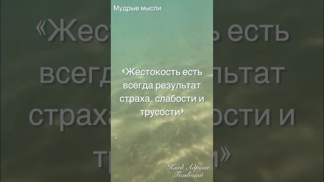 Мудрые мысли: Жестокость есть всегда результат страха, слабости и трусости!#мудрыецитаты #цитаты смотреть онлайн