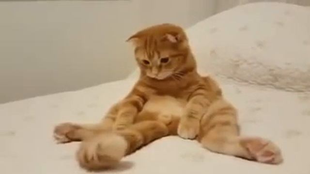 Когда не знаешь чем себя занять) смотреть онлайн