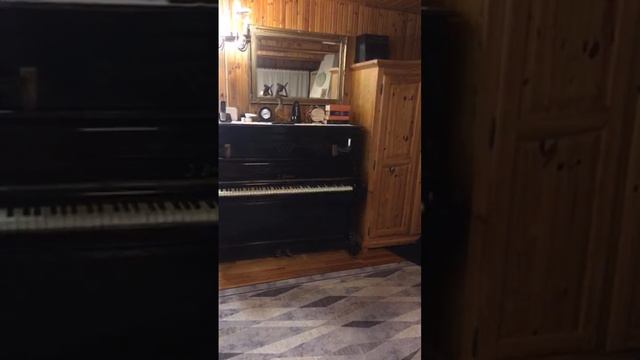 maMilla is live! урок 23.02.24 музыки скрипка смотреть онлайн