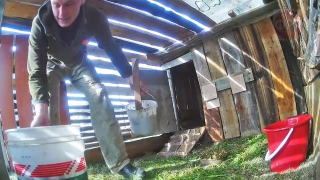 про село - НОВЫЕ ЖИВОТНЫЕ в хозяйстве / сельхоз-влог / жизнь в россии / лпх / кфх / жизнь в деревне смотреть онлайн