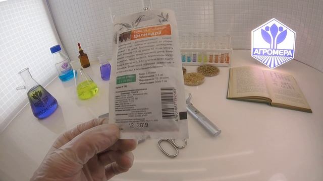 Свекла столовая Цилиндра. Поиск смотреть онлайн