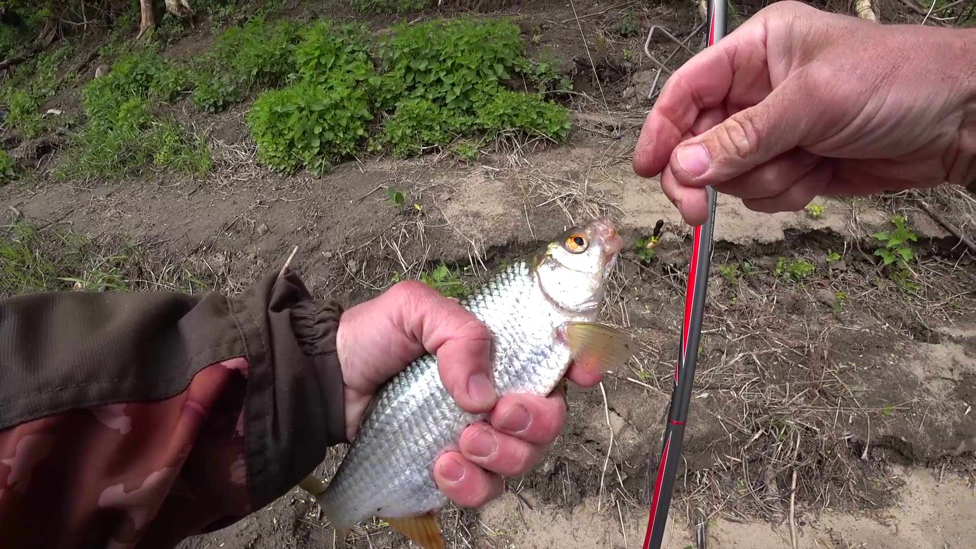 ХОРОШАЯ ПЛОТВА НА МОРМЫШКУ. смотреть онлайн