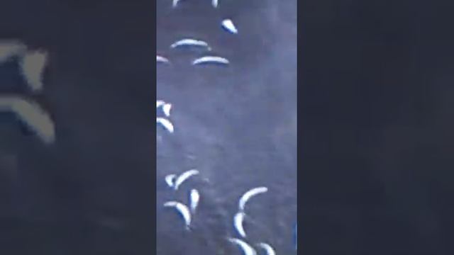 Колозеро 19.07.18 смотреть онлайн