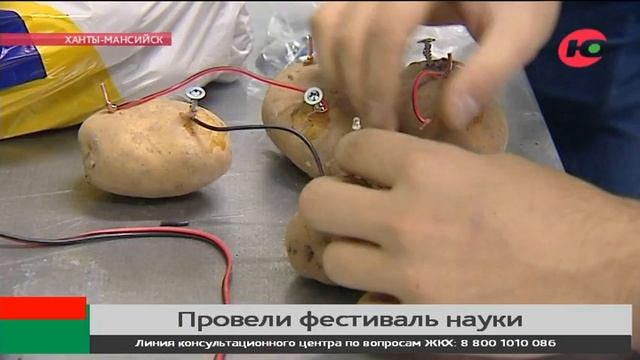 Югорских школьников научили собирать электрическую цепь из лимона и картофеля смотреть онлайн