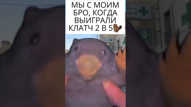 МЫ С МОИМ БРО, КОГДА ВЫИГРАЛИ КЛАТЧ 2 В 5🤣🤣🤣 смотреть онлайн