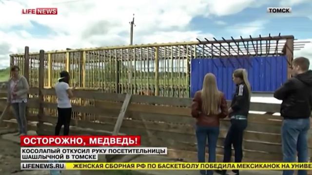 Медведь откусил руку пяной девушке смотреть онлайн