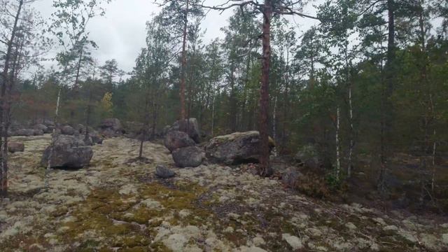 Сортавала - Питер (вело поход) смотреть онлайн