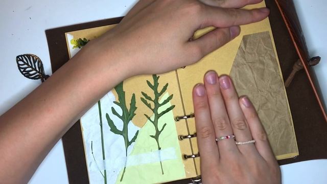 Scrapbooking/Оформление травника/Руккола/ART Studio смотреть онлайн