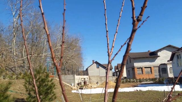 Весенняя обрезка косточковых деревьев. Вредители на дубах. смотреть онлайн