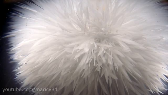 как сделать горячий лед дома смотреть онлайн