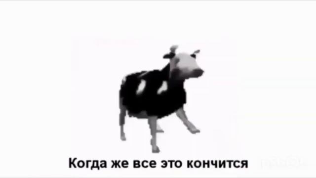 ПОЛЬСКАЯ КОРОВА (ПЕРЕВОД) на русский