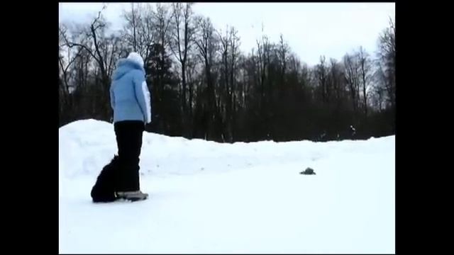 Глорис Инфинити Драйв ОКД (мини) 1 степень 27.02.2011 смотреть онлайн