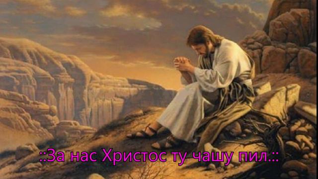Горько слезы лились смотреть онлайн