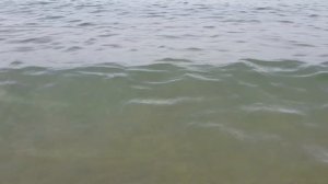 Orfeus Park Hotel 4* (Турция, Чолаклы). Полный видеообзор