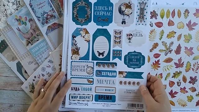 Обзор дизайнерской посылки от ScrapMania смотреть онлайн