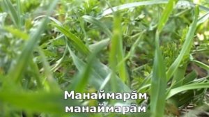 Чувашские хиты. 2005. Караоке. Часть 1.
