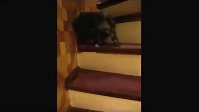 В темпе вальса смотреть онлайн