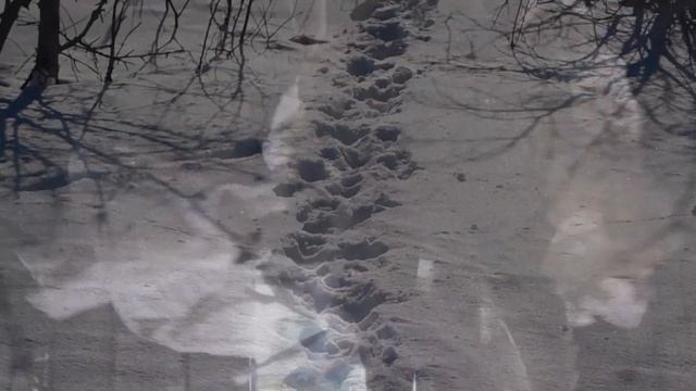 Зима (18+) – Стихи Лилии Кох смотреть онлайн