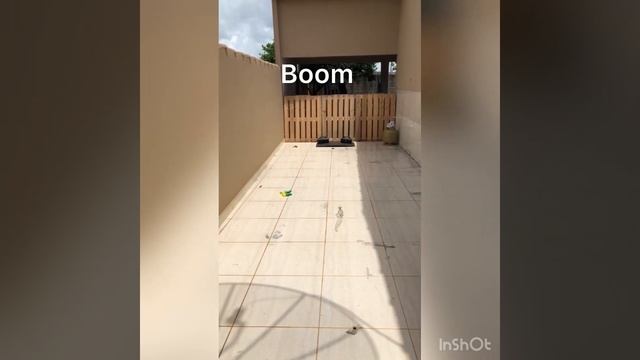 MIFA WILDBOX VS MOTION BOOM, LOCAL ABERTO E LOCAL FECHADO ? ? смотреть онлайн