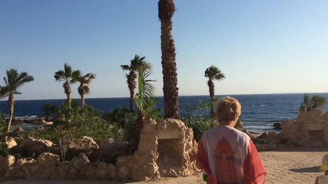 ЕГИПЕТ. ОБЕД В ОТЕЛЕ ALBATROS CITADEL. РЕСТОРАН. МОРЕ И ПЛЯЖ. РЕЦЕПШН В ОТЕЛЕ смотреть онлайн