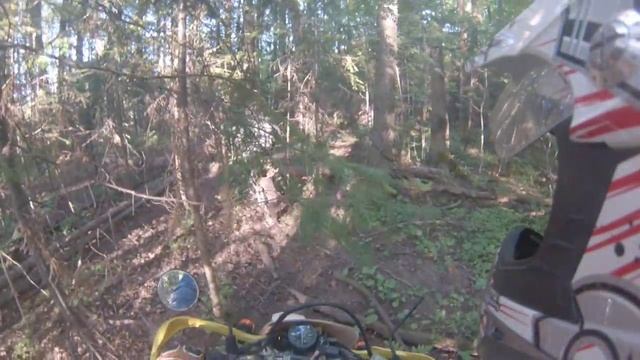 [Эндурята] Покатушки Suzuki DR250 и Kawasaki KLX250