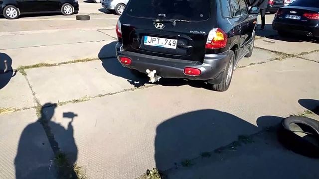 Внедорожники Литвы. #Авторынок #Каунас #Литва ,Октябрь 2018 смотреть онлайн