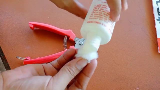 10 WAYS TO USE HYDROGEN PEROXIDE IN THE GARDEN смотреть онлайн