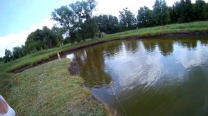 РЫБАЛКА СЕТЯМИ! 30 КГ ТОЛСТОЛОБА ЗА 30 МИНУТ! ЛОВЛЯ СЕТЬЮ В СОБСТВЕННОМ ПРУДУ! СЕТИ!