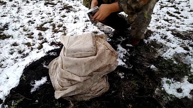 Как подготовить кедры и другие хвойные деревья к первой зиме. Полезный видео урок. смотреть онлайн