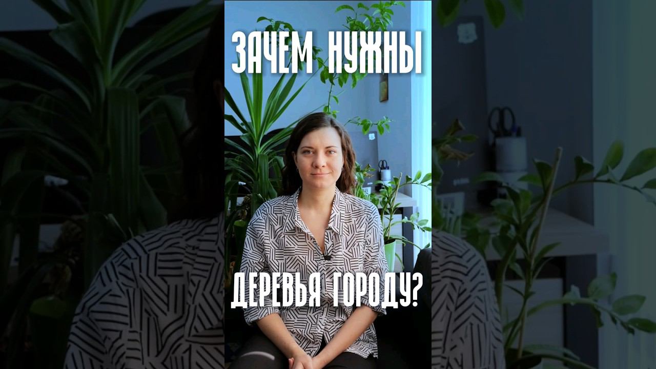 Зачем нужны деревья городу? смотреть онлайн