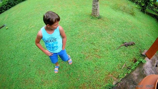 Отдых пчеловода. Шри-Ланка. Фауна отеля Eva Lanka hotel 3* смотреть онлайн