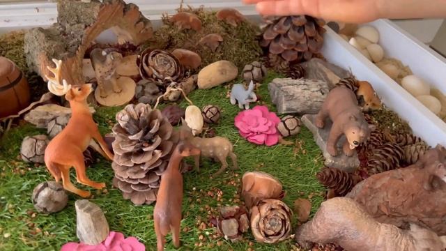 Сенсорная коробка лес с фигурками лесных животных версия 2 смотреть онлайн