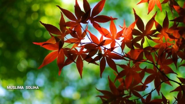 АЁЛЛАРНИНГ ЭНГ ЯХШИСИ || ЭРКАКЛАР УЧУН ЖУДА КУЧЛИ МАЪРУЗА смотреть онлайн