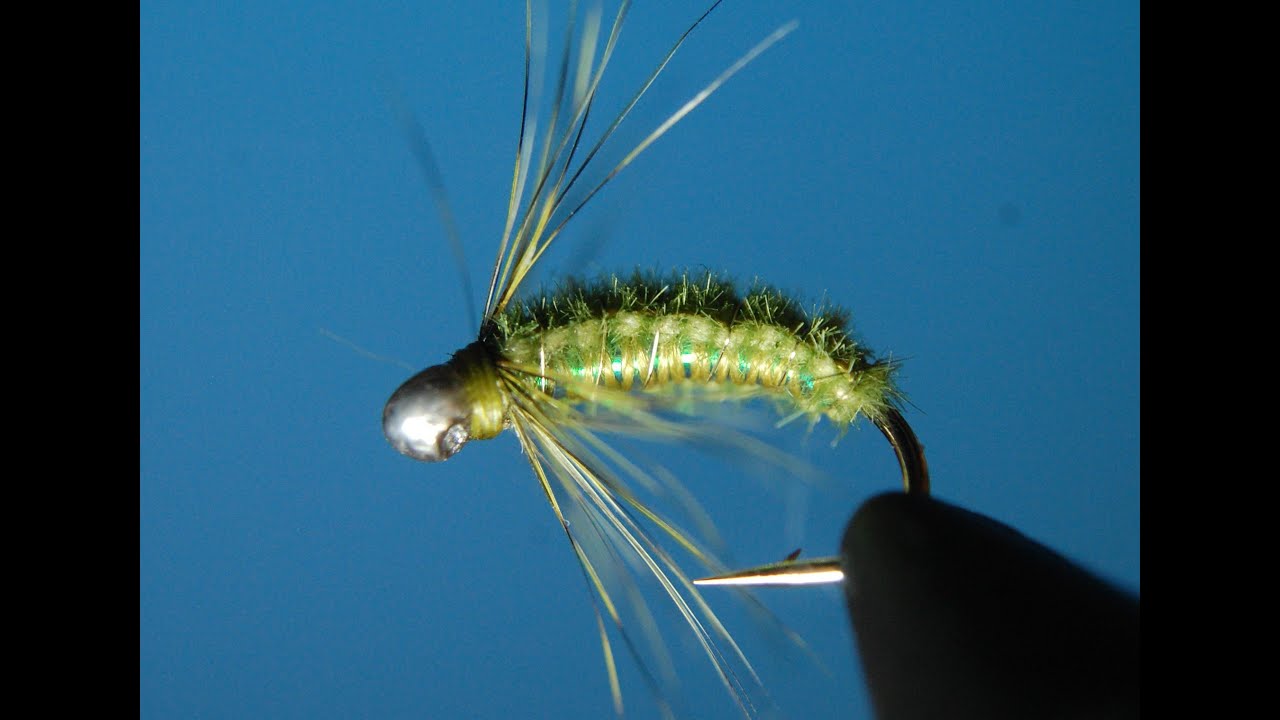 Holey Head Olive Polish Nymph. смотреть онлайн