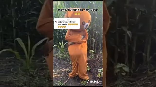 হাসতে চাইলে ভিডিওটি দেখুন ??||বিনোদন ??||funny video||tiktok video||teddi bear dance||roast house смотреть онлайн