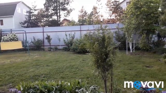 Обзор сада 04.06.2019/Гортензия-плакса дает новые побеги/ Рододендроны/Живучка/