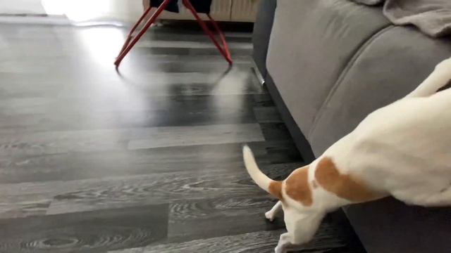 НАЧАЛО ПОСТА / ДЖЕРРИ на МАНИКЮРЕ / VLOG смотреть онлайн