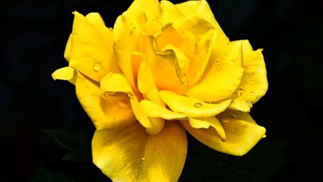 Лучшие русские песни и фото в хорошем качестве