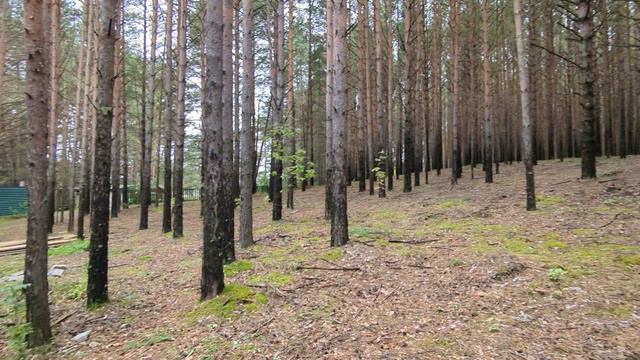 шегарский тракт 5 смотреть онлайн