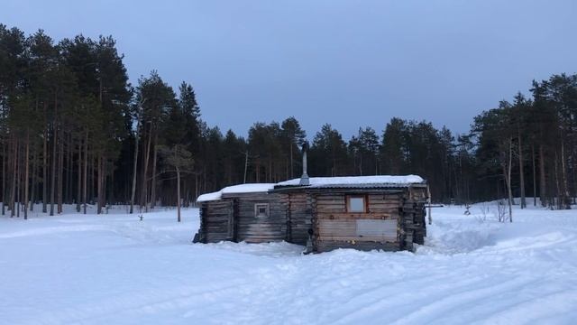 Wildlife Photography In Northern Sweden | Conny Lundström WildShots Sweden Eagle Hides