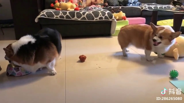 когда семейная жизнь не задалась смотреть онлайн