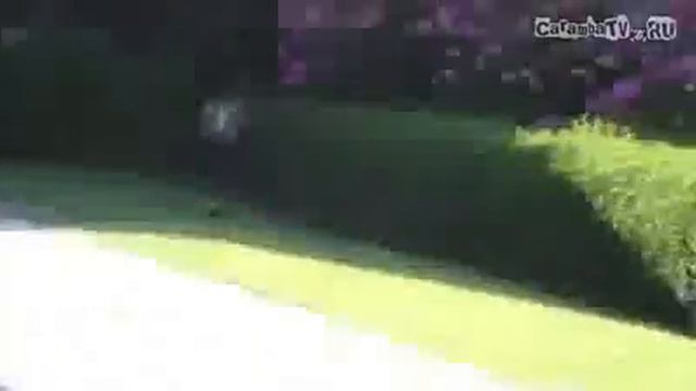 +100500 - Супер Птица.flv смотреть онлайн