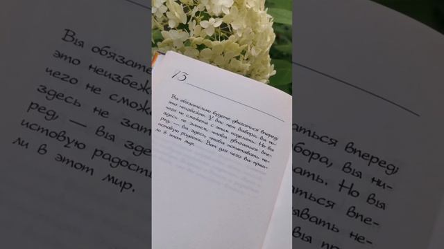 #навстречу_мечте день13  Вы пришли в мир, чтобы чувствовать #радость