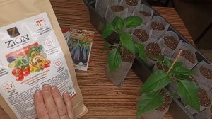 РАССАДА СЛАДКОГО ПЕРЦА ? Тестирую ЦИОН ? ZION удобрение пролонгированного действия ?