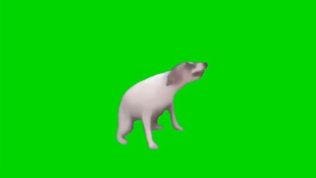 СОБАКА ТАНЦУЕТ МЕМ 10 МИНУТ! ФУТАЖ GREEN SCREEN смотреть онлайн