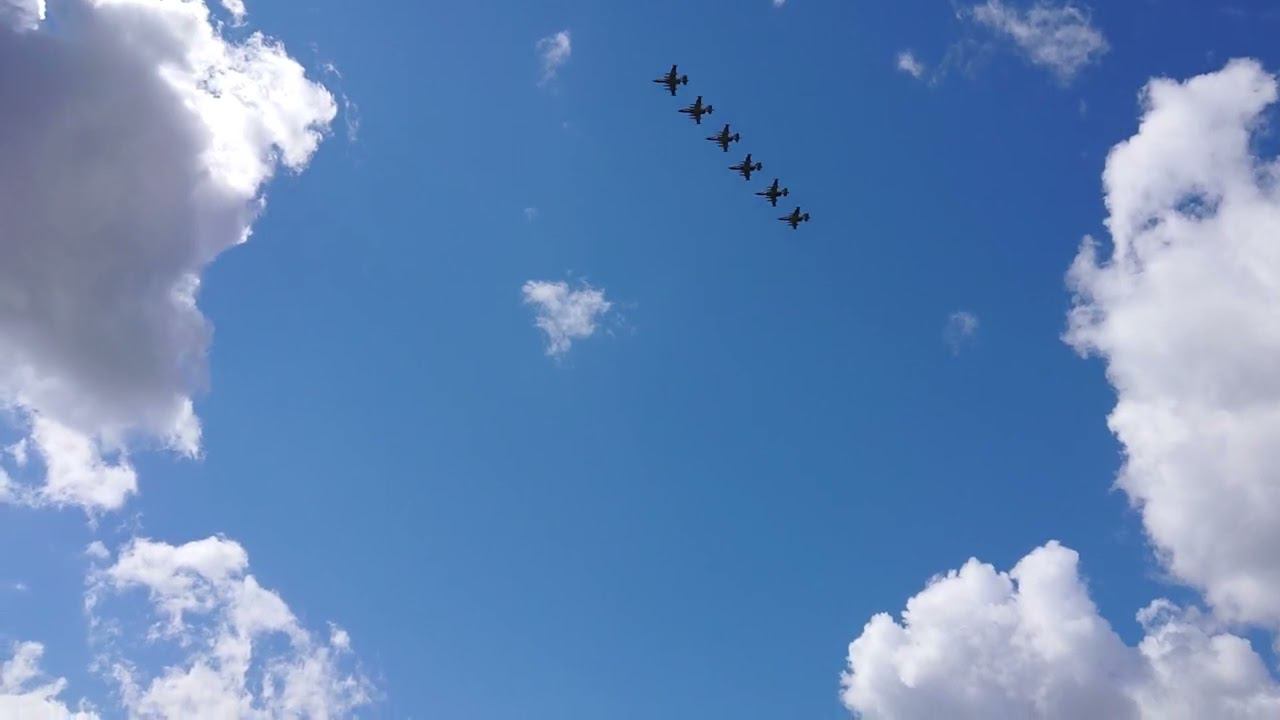 Грачи прилетели