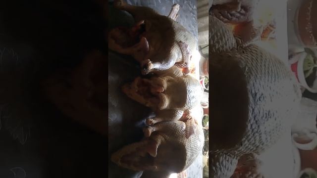 мясо индоутки смотреть онлайн